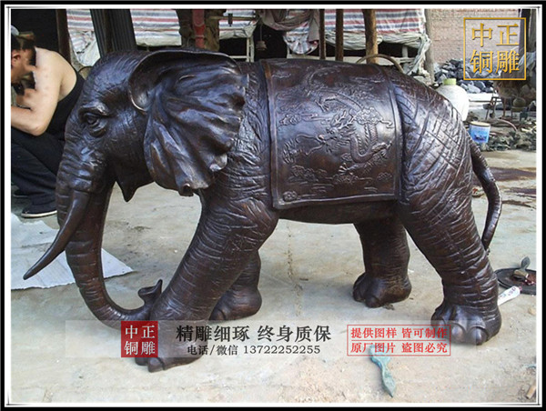 10692921666_1501655893.jpg 10692921666_1501655893.jpg