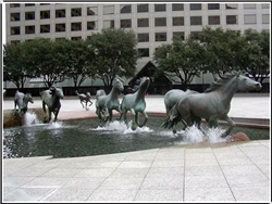 野馬景觀雕塑 野馬景觀雕塑